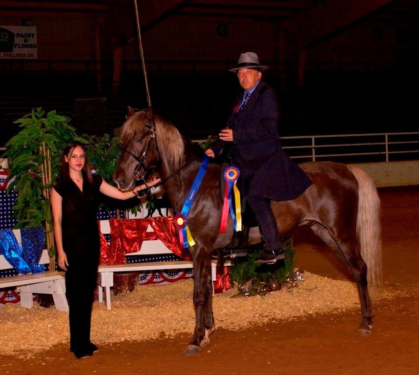 A horse and rider in a show arena with colorful ribbons