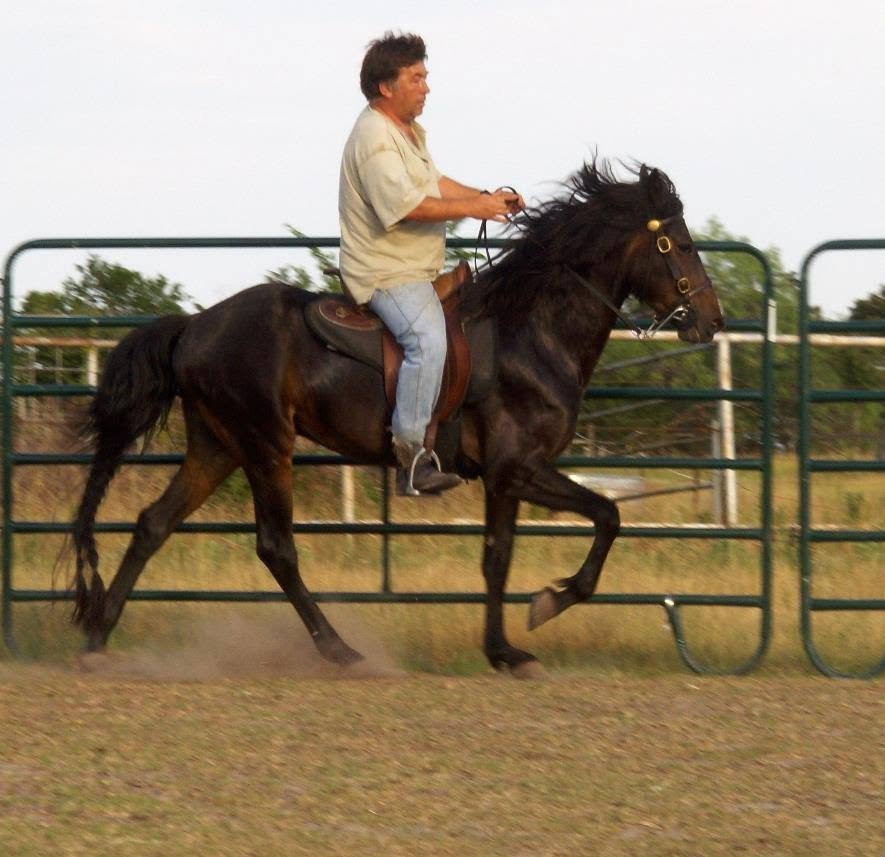 Mik riding a dark horse in an outdoor training area